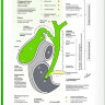 Пример страницы из книги "УЗИ брюшной полости: печень и желчевыводящая система" - Умаров Т. М.