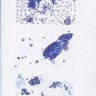 Пример страницы из книги "Руководство по жидкостной цитологии" - Р. С. Хода, К. Ванденбуш, С. А. Хода