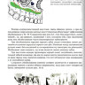 Пример страницы из книги "Обезболивание в эндодонтии: учебное пособие с иллюстрациями" - Петрикас А. Ж.