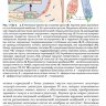 Пример страницы из книги "Болезни уха, горла и носа" - Бербом Х., Кашке О., Навка Т., Свифт Э.
