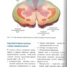 Книга "Физическая и психологическая реабилитация детей с опухолями задней черепной ямки"

Автор: Касаткин В. Н.

ISBN 978-5-907760-05-9