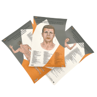 Плакаты А2, А3 пластиковые. Представительство внутренних органов на лице, шее и теле по Огулову