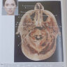 Пример страницы из книги "Косметологическая анатомия лица. 2-е изд., переработанное и дополненное" - Воробьев А. А.