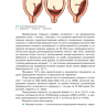 Пример страницы из книги "Патологическая анатомия акушерских заболеваний" - Надеев А. П.