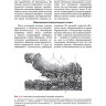 Примеры страниц из книги "Руководство по пуэрперию" - Коробков Н. А.