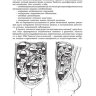 Пример страницы из книги "Госпитальная хирургия". Том 2 - Бисенков Л. Н. Котив Б. Н.