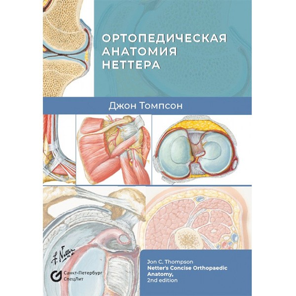 Ортопедическая анатомия Неттера - Томпсон Дж.