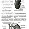 Пример страницы из книги "Остеопатическая коррекция измененных функций мочеполовой системы" - С. В. Новосельцев, Е. Е. Курочкин, Е. Н. Минеева