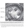 Пример страницы из книги "Лучевая анатомия. Атлас с иллюстрациями Неттера" - Вебер Э., Виленски Дж. А., Кармайкл С. У., Ли К. С.