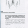 Пример страницы из книги "Хирургическое лечение послеоперационных стерномедиастинитов"- Фургал А. А.