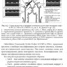 Пример страницы из книги "Руководство по ультразвуковой диагностике при заболеваниях брахиоцефальных артерий: практическое руководство для врачей" - И. В. Ганькова​