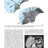 Пример страницы из книги "Компьютерная томография в гастроэнтерологии: руководство для врачей" - В. М. Китаев, С. В. Китаев