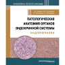 Патологическая анатомия органов эндокринной системы. Надпочечники - Урусова Л. С., Пачуашвили Н. В., Бельцевич Д. Г., Мокрышева Н. Г.