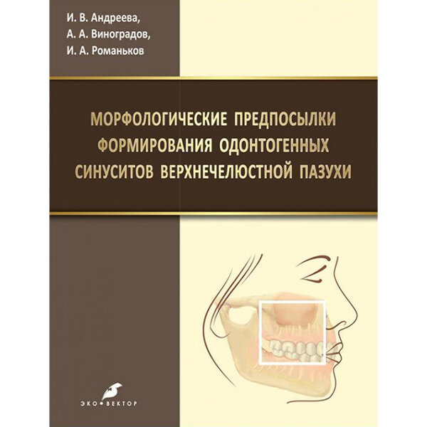 Морфологические предпосылки формирования одонтогенных синуситов верхнечелюстной пазухи  - Андреева И. В.