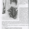 Пример страницы из книги "Оперативная хирургия и топографическая анатомия" - Островерхов Г. Е., Бомаш Ю. М., Лубоцкий Д. Н.