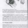 Пример страницы из книги "Оперативная хирургия и топографическая анатомия" - Островерхов Г. Е., Бомаш Ю. М., Лубоцкий Д. Н.