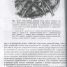 Пример страницы из книги "Оперативная хирургия и топографическая анатомия" - Островерхов Г. Е., Бомаш Ю. М., Лубоцкий Д. Н.