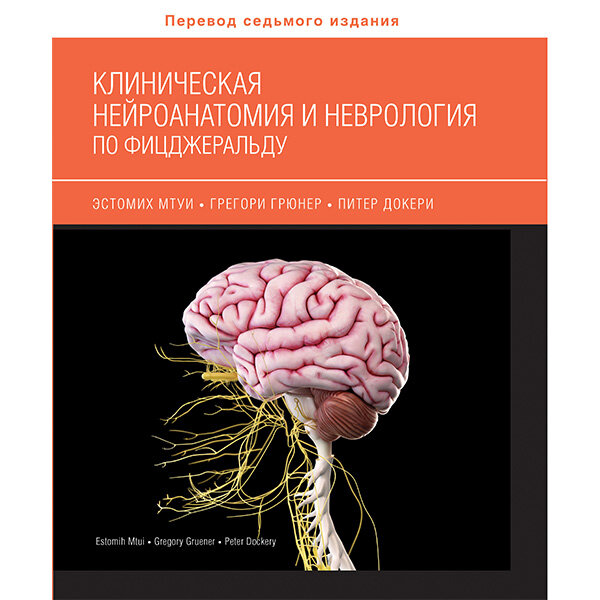 Клиническая нейроанатомия и неврология по Фицджеральду  - Мтуи Э.