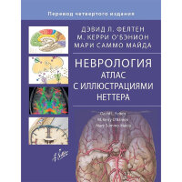 Неврология. Атлас с иллюстрациями Неттера - Фелтен Дэвид Л.