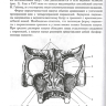 Пример страницы из книги "Функциональная анатомия околоносовых пазух" - И. В. Гайворонский, О. М. Фандеева, Г. И. Ничипорук