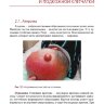 Пример страницы из книги "Амбулаторная хирургия, флебология, артрология для врачей и пациентов. Учебное пособие" - Ельшанский И. В.