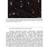 Пример страницы из книги  "Гистологическая диагностика инвазивных микозов" - Х. Э. Йенсен