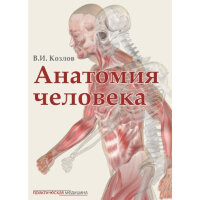 Анатомия человека. Учебник для медицинских вузов. 2-е издание, исправленное и дополненное - Козлов В. И.