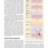 Пример страницы из книги "Дерматология по Фицпатрику". Том 1. - С. Кан, М. Амагаи, А Л. Брукнер, А. Х. Энк, Д. Дж. Марголис, Э. Дж. МакМайкл, Дж. С. Оррингер