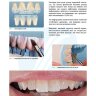 Пример страниц из книги "Анатомия передних зубов и изучение принципов естественной улыбки" - Джон Несс