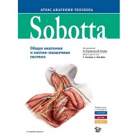 Sobotta. Атлас анатомии человека. Том 1 (общая анатомия и костно-мышечная система) - Ф. Паульсен, Й. Вашке