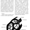 Примеры страниц из книги "Мануальная терапия периферических нервов" - Жан-Пьер Барраль, Ален Круабье