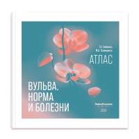 Вульва. Норма и болезни. Атлас - Т. Н. Бебнева, М. Б. Хамошина