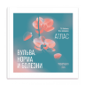Вульва. Норма и болезни. Атлас - Т. Н. Бебнева, М. Б. Хамошина