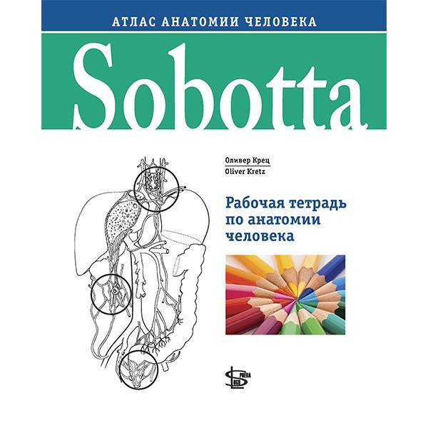 Книга "Sobotta. Рабочая тетрадь по анатомии человека". Купить атласы ...
