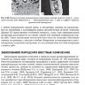 ​Пример страницы из книги "Рентгенология в стоматологии: руководство для врачей" - Аржанцев А. П.
