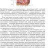 Пример страницы из книги  "Эстетическая гинекология" - И. А. Аполихиной, Г. Т. Сухих Пример страницы из книги  "Эстетическая гинекология" - И. А. Аполихиной, Г. Т. Сухих