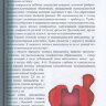 Пример страницы из книги "Оториноларингология. Учебник" - В. Т. ​Пальчун, А. И. Крюков, М. М. Магомедов