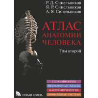 Атлас анатомии человека в 3-х т. Том 2 - Синельников Р. Д.