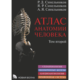 Атлас анатомии человека в 3-х т. Том 2 - Синельников Р. Д.