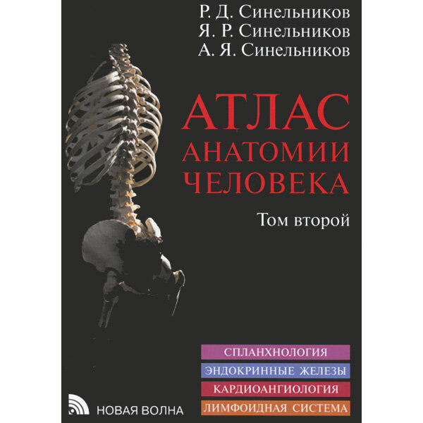 Атлас анатомии человека в 3-х т. Том 2 - Синельников Р. Д.